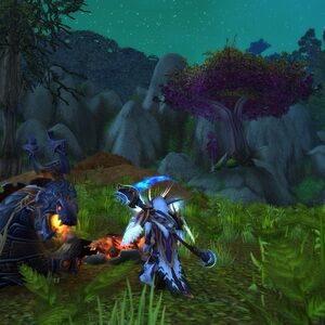 Meet your Posher, Brandi